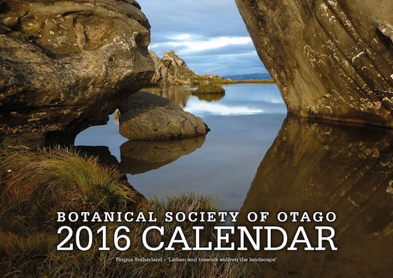 2016_calendar.jpg