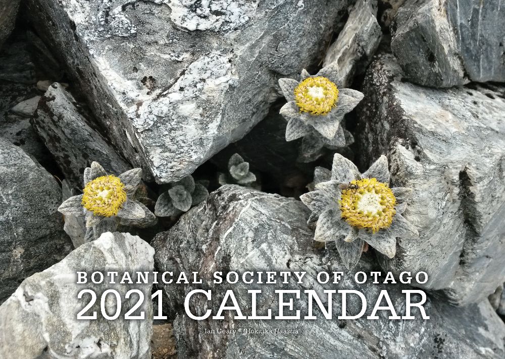 botanical-society-calendar-2021-cover-shot.jpg