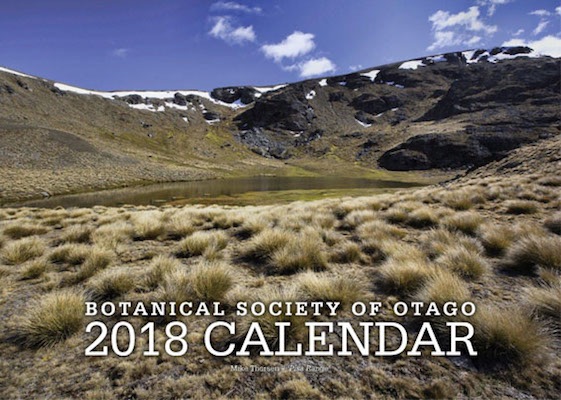 2018_calendar.jpg