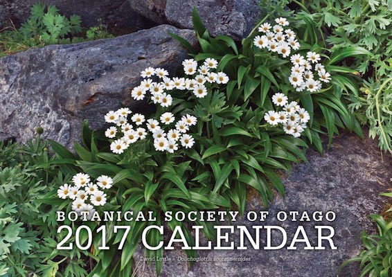 2017_calendar.jpg